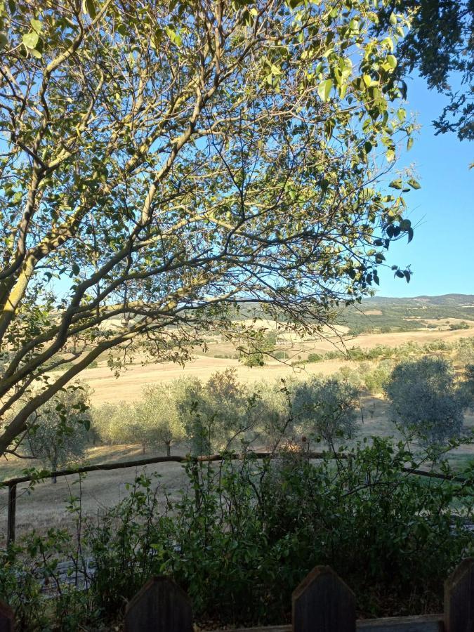 Agriturismo Podere Cherzo Чиниджиано Экстерьер фото
