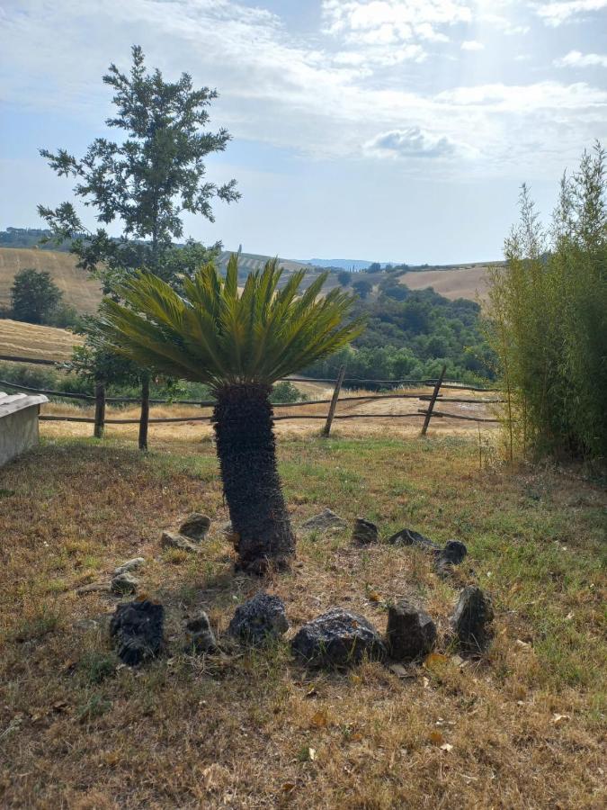 Agriturismo Podere Cherzo Чиниджиано Экстерьер фото