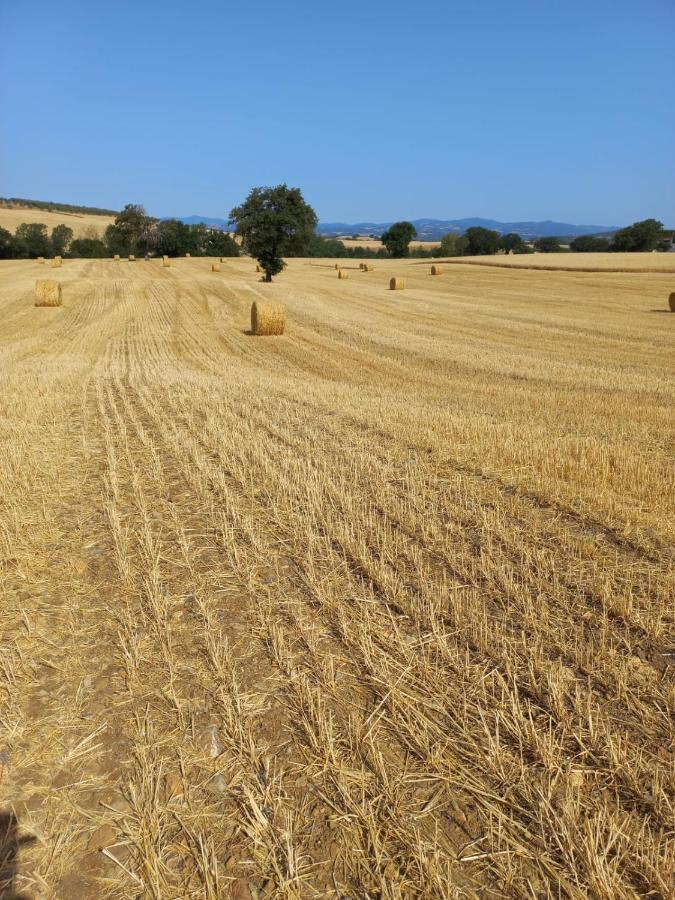Agriturismo Podere Cherzo Чиниджиано Экстерьер фото