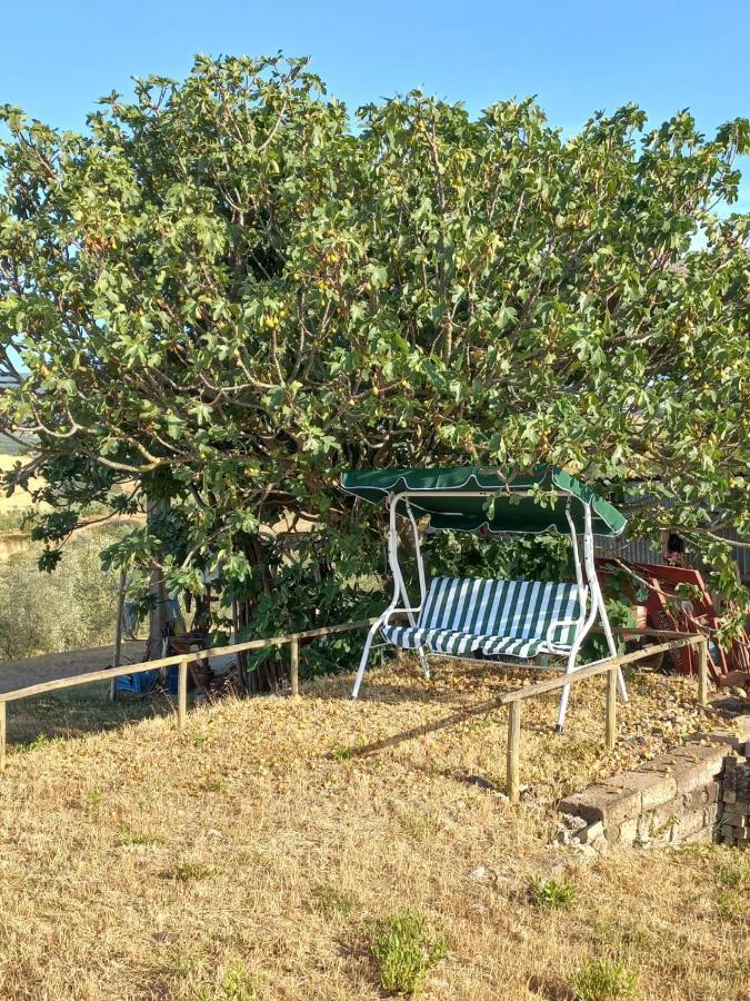 Agriturismo Podere Cherzo Чиниджиано Экстерьер фото