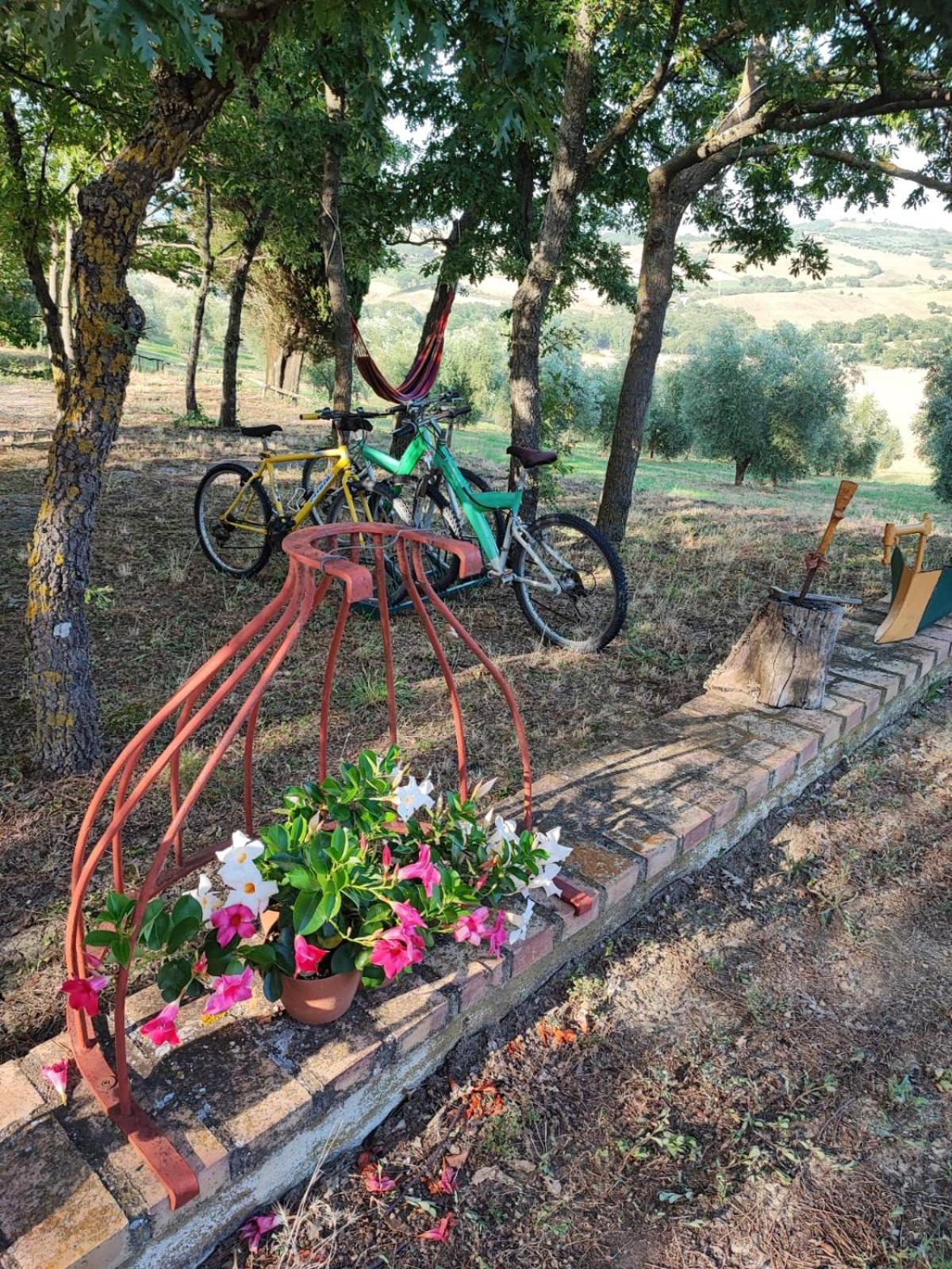 Agriturismo Podere Cherzo Чиниджиано Экстерьер фото